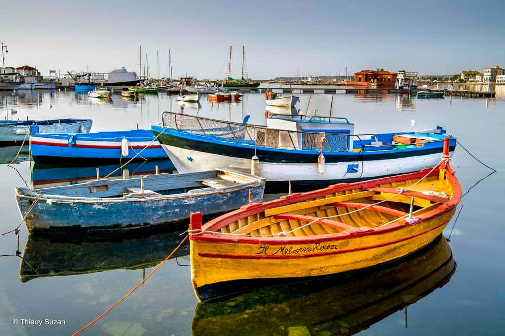 Couleurs salées et barques siciliennes | Port de Marzamemi